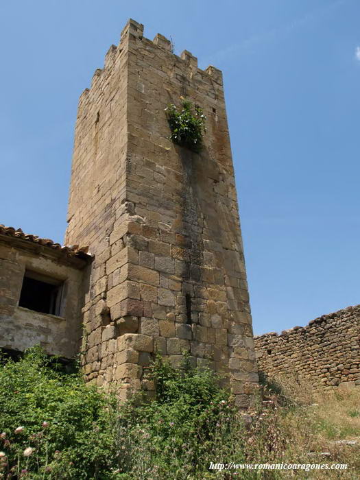 VISTA SURESTE DE LA TORRE